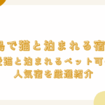 淡路島で猫と泊まれる宿5選！愛猫と泊まれるペット可の人気宿を厳選紹介