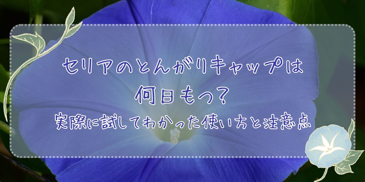 セリアのとんがりキャップは何日もつ?実際に試してわかった使い方と注意点