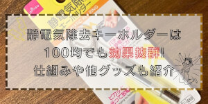 静電気除去キーホルダーは100均でも効果抜群!仕組みや他グッズも紹介